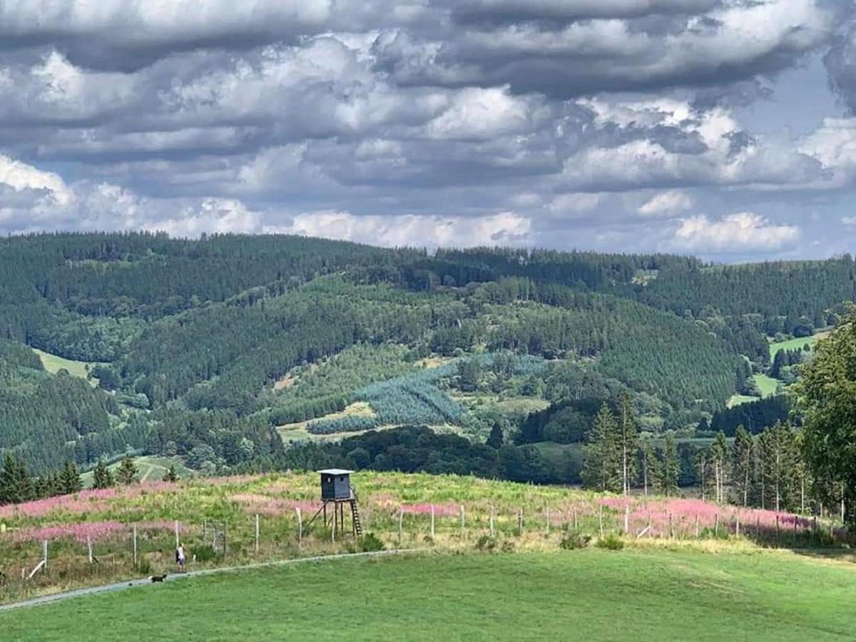 Bergnest Winterberg