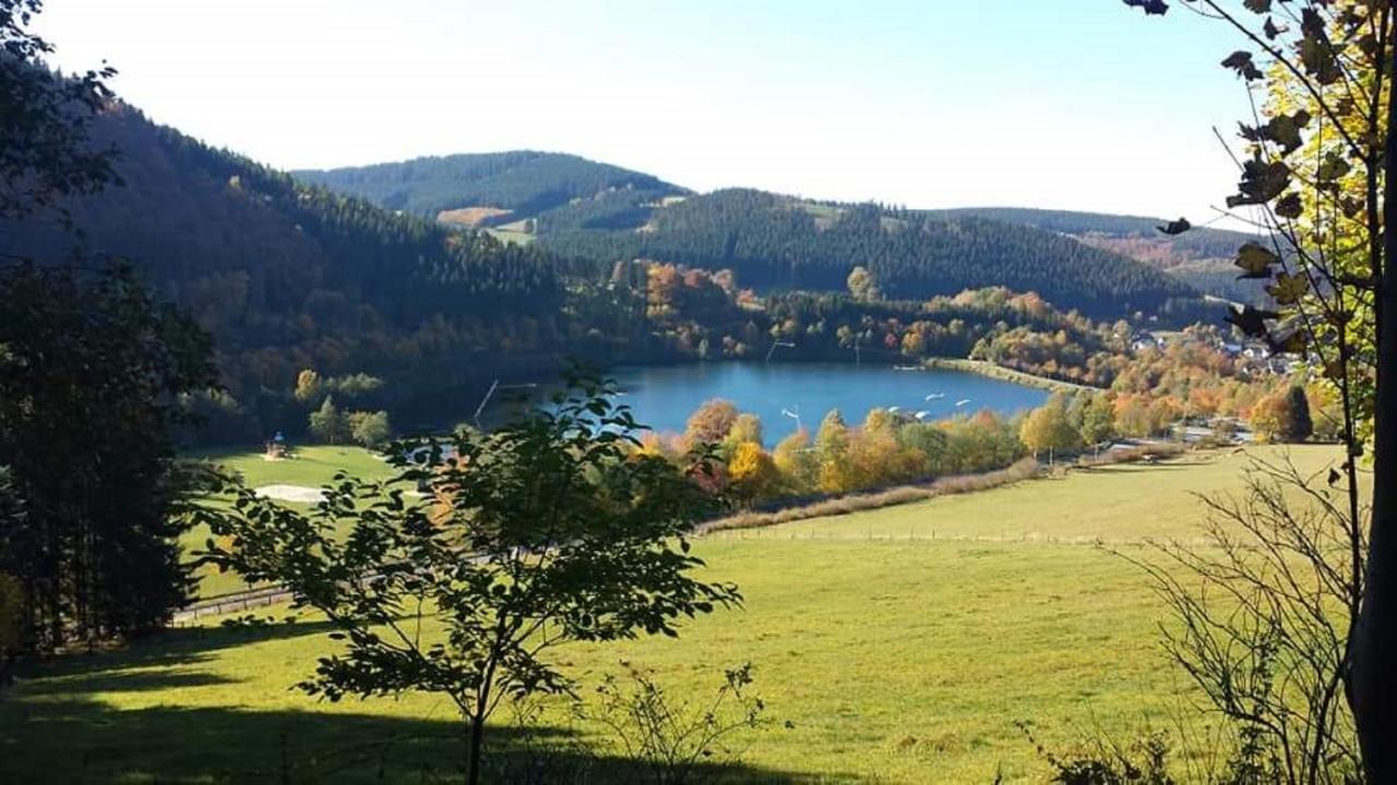 Bergnest Appartement Winterberg