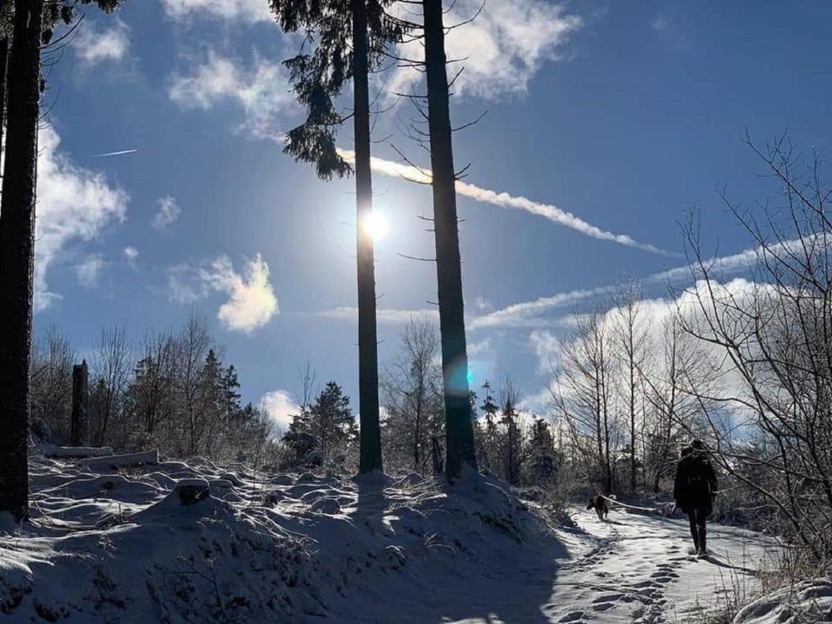 Bergnest * Winterberg