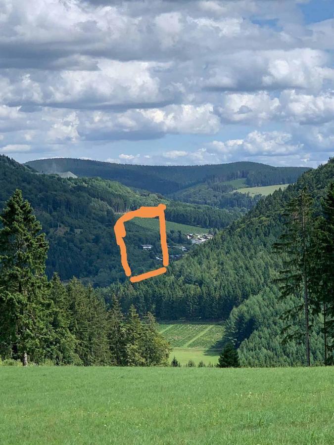 Bergnest * Winterberg
